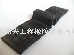 可卸式止水带